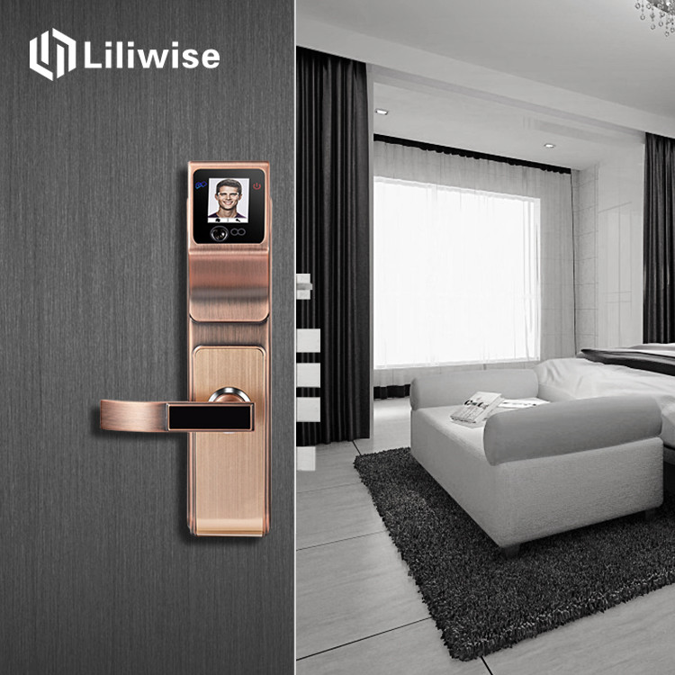 Facial Recognition Electronic Front Door Lock With Key Fingerprint Password