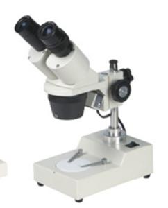 Quality Fixed Magnification Stereo Microscope XTX-204B wholesale