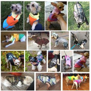 Quality Windproof Pet Clothes Warm Dog Winter Clothes Striped Pattern wholesale