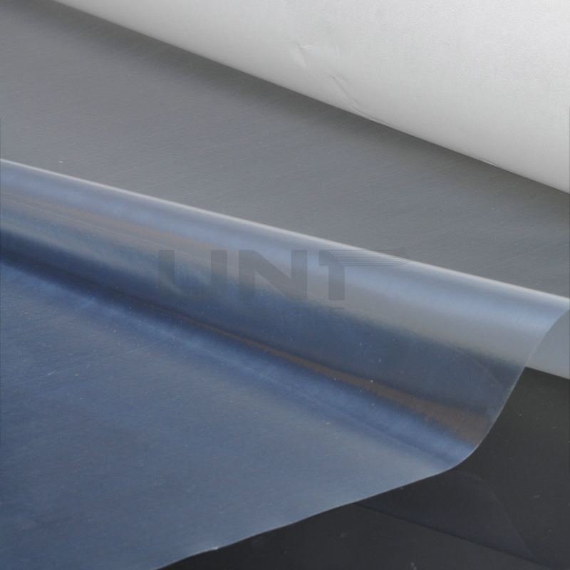 Garment Fusible Cpp TPU Hot Melt Adhesive Film Solvent Free
