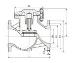 Lift Check Valve