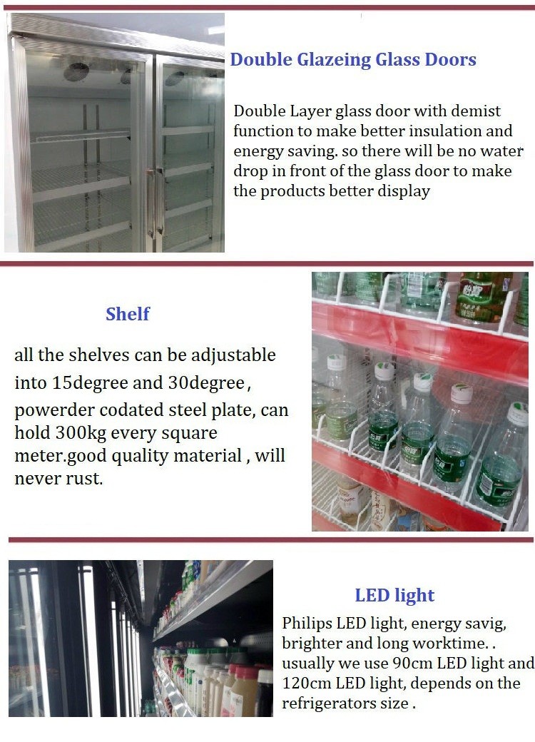 Upright Commercial Display Freezer Beverage Cooler