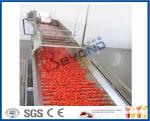 Fruit Processing Tomato Juicer Machine , Electric Tomato Juicer Process Plant