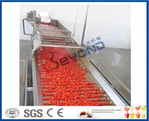 Quality Fruit Processing Tomato Juicer Machine , Electric Tomato Juicer Process Plant And Machinery wholesale