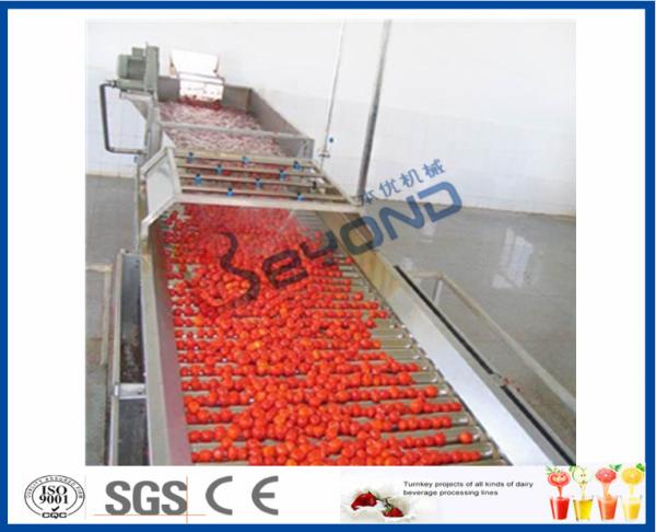 Fruit Processing Tomato Juicer Machine , Electric Tomato Juicer Process Plant