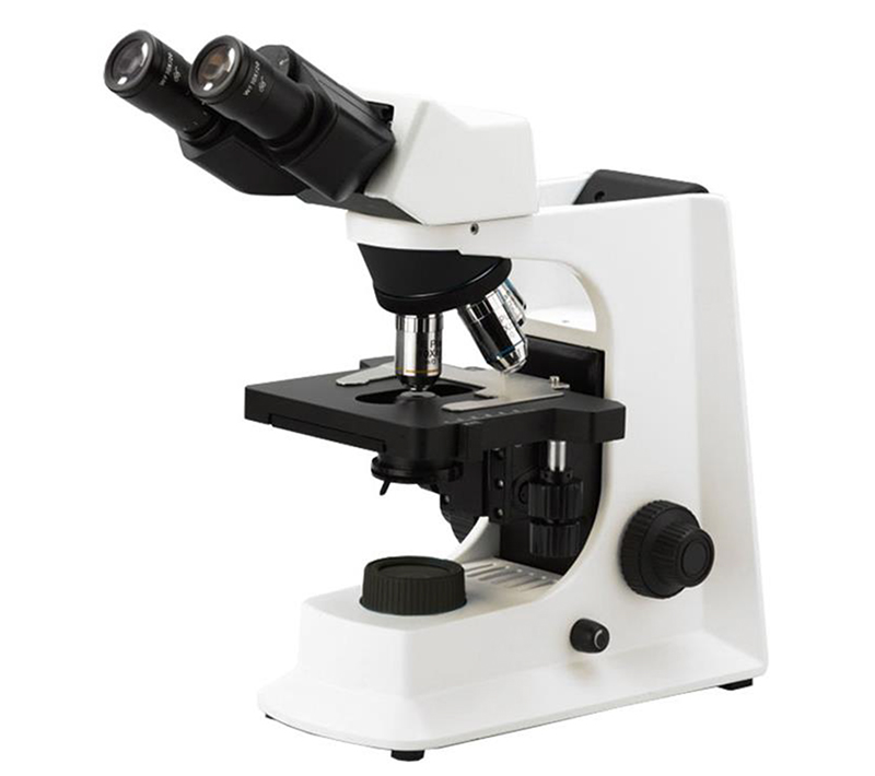 LED A12.2601-BT 400X Student Compound Microscope WF10x High Precision