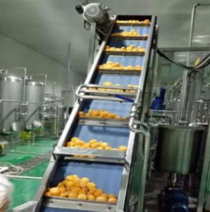 Quality Fully Automatic System Citrus/Orange Juice Processing Line wholesale