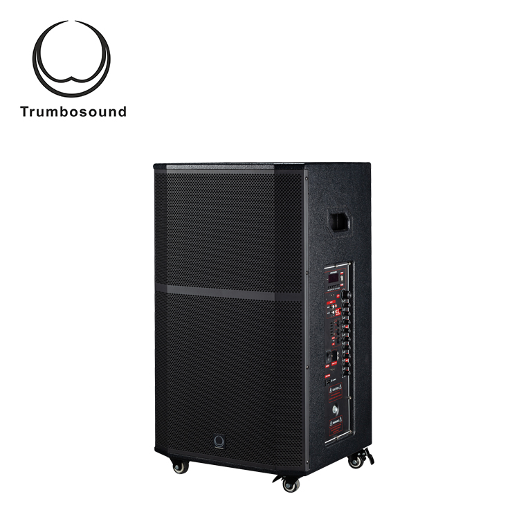 Bluetooth Multifunction Mobile Speaker 15 Inch Two Way Loudspeaker Wifi Loudspeaker