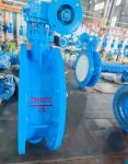 Flowseal Double Flange Triple Eccentric Butterfly Valve Gear Operated Customized