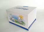 Fashion Coated Paper Board Box, Rectangle Printed Rigid Gift Boxes For With