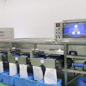 Quality CE 1000kg Capacity Pistachio Sorting Machine With 360° Non-Blind Area Inspection wholesale