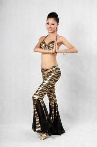 Quality Comfortable Fitting Bras and Pants in 3 Colors Belly Dance Training Wear Yoga Wear Belly Dancing Clothes wholesale