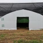 Agriculture Chinese Organic Mushroom Management Greenhouse Single-Span