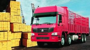 Quality HOWO 8x4 CARGO TRUCK wholesale