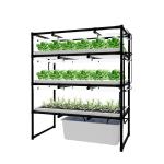 Custom Hydroponic Grow Rack Indoor Vertical Farms For Leafy Green