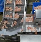 Safety Circular Multi Head Weight Sorting Machine For Sea Food 300 Times / Min