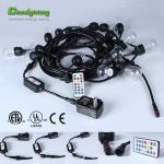 HolidayVintage Season RGB Festival Party Wedding waterproof led string light