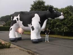 Quality Cow helium balloon wholesale