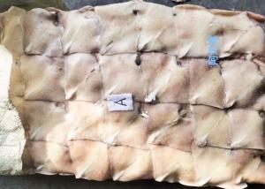 Quality Frozen Illex Squid , Fins Argentina Squid Bqf Chinese Ocean Vessels wholesale