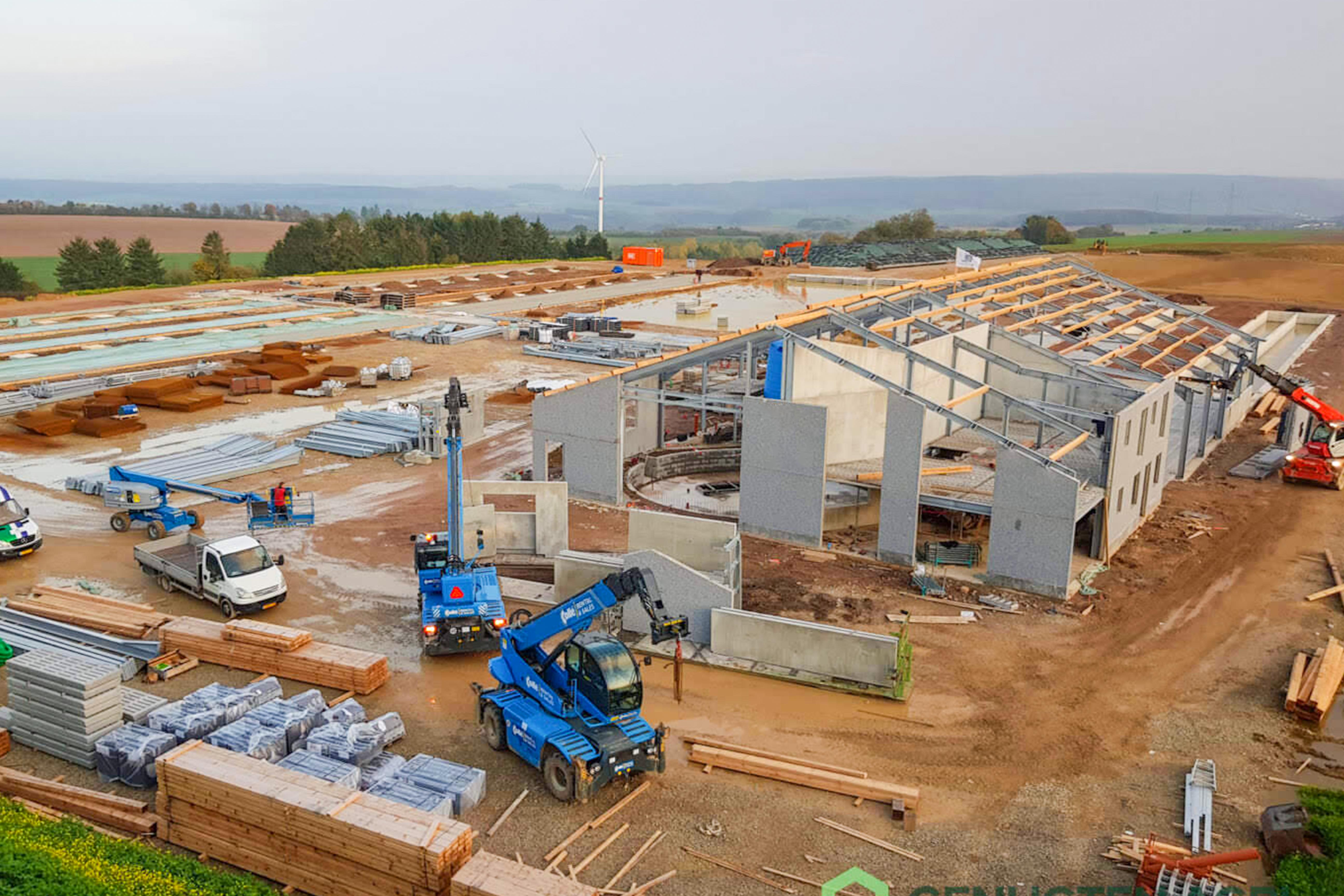 Aluminum Alloy Window and Q345 Prefab Steel Cow Farm Building for Dairy Cow House