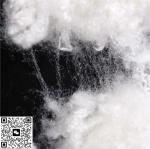 Industrial Virgin Polyester Fiber Manufacturing Process Chemical Resistance