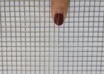 0.9mm 304 Stainless Steel Welded Wire Mesh For Bird Cage