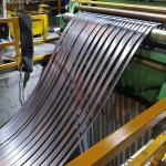Custom Size Hot Dip Galvanised Steel Strip Cold Rolled DX51 DX52 DX53 SPCC SGCC