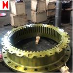Master Tooth Material Straight 5 0.5 Steel internal spur gear design