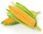 Corn Gluten Meal, for protein enhancement of animal, Non-GMO