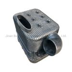 Sinotruk HOWO Truck Parts Oil Base Air Filter Wg9725190055 According to Customer