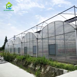 Quality 6m 8m 9m Span Clear Plastic Film Greenhouse Vegetable Farming wholesale