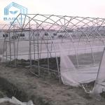 High Latitude Area Ecological Agricultural Greenhouse Hot Dip Galvanized