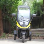 outdoors 3 wheels electric scooters 800W electric tricycle with EEC COC