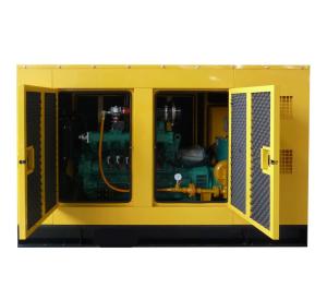 Quality Silent LNG CNG Generator with ATS wholesale