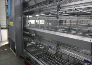 Quality Sturdy Durable Layer Farming Equipment Cross - Opening Door Design wholesale