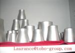 ASTM B16.5 WPB Butt Weld Concentric Stainless Steel Manufacturer Supply Reducer