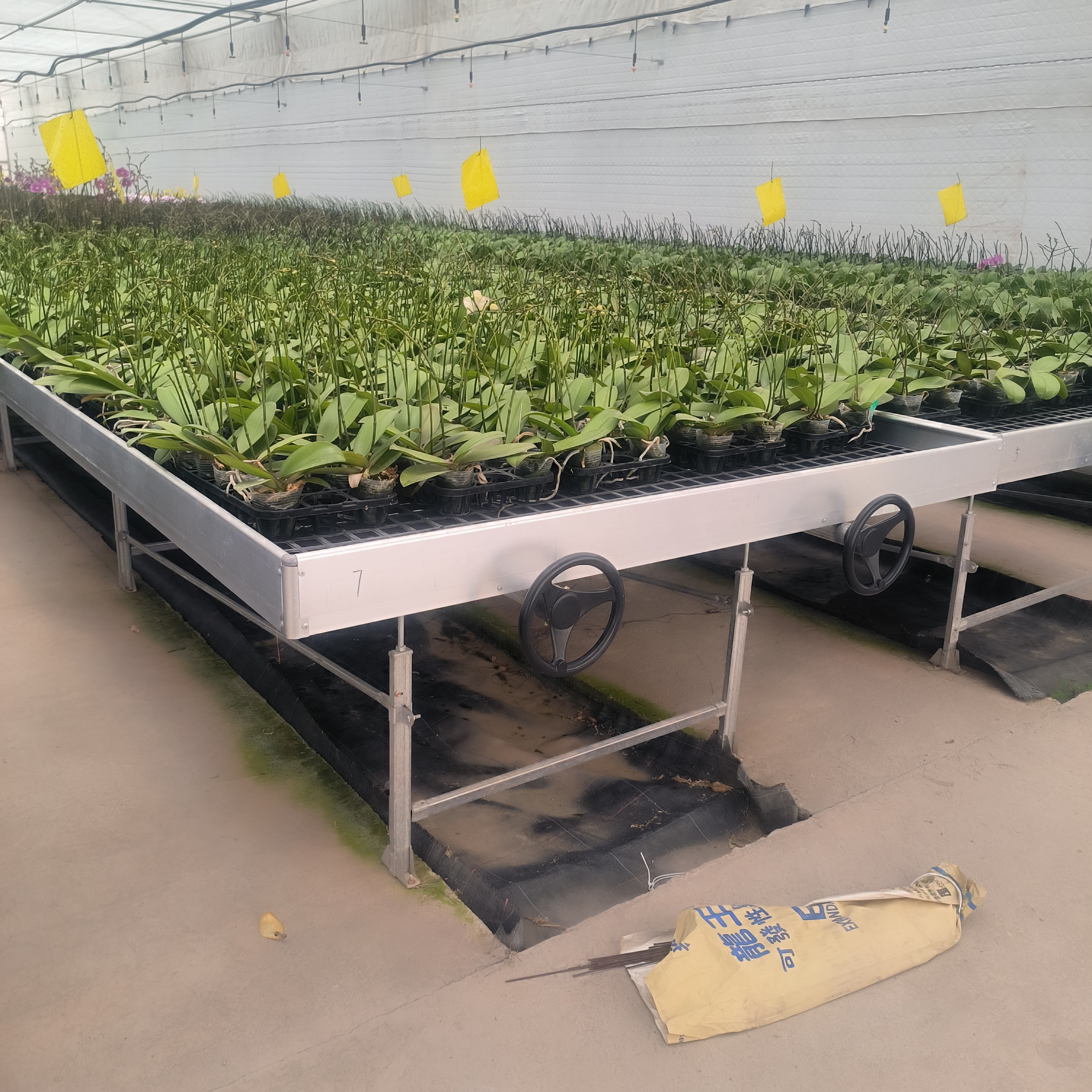 Ebb And Flood Hydroponic Movable Table Rolling Bench For Growing Plants In Greenhouse