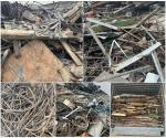 Stainless Steel Copper Metal Recycling Shredder Heavy Duty Metal Shredder