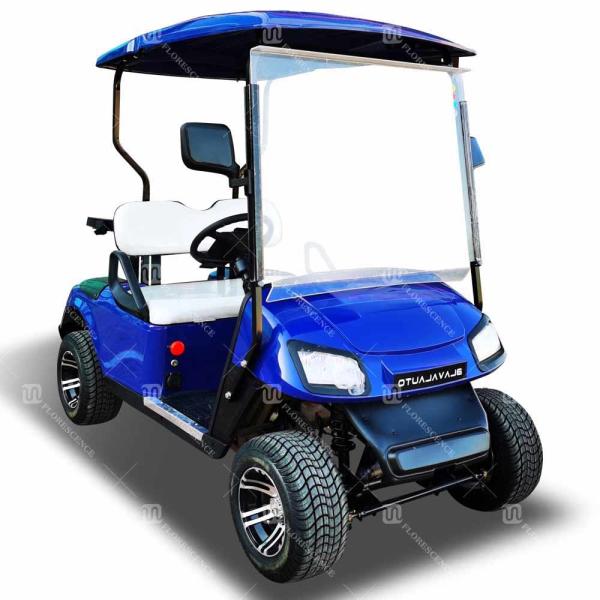 ODM Mini Road Legal Golf Cart Bus 2 Passenger 60V New Energy Vehicle With