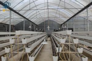 Quality Farm Vertical PVC NFT Gully Planting Troughs Agriculture Vegetable Growing Trough wholesale
