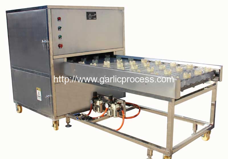 automatic-garlic-root-cutting-removing-machine