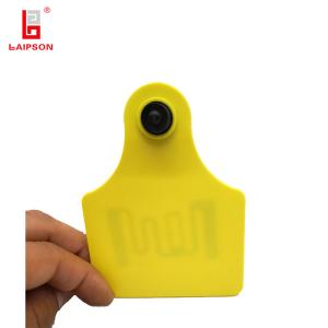Quality 100mm 75mm UHF Pig Cattle ID Tags , RFID Sheep Tags Tamper Resistant 825~925Mhz wholesale