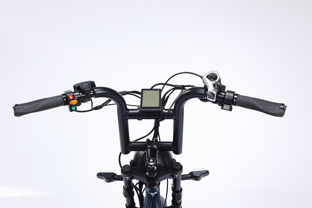 Full Suspension 48V Fat Tire Electric Bike 750W With LCD Display And Rear Hub Motor
