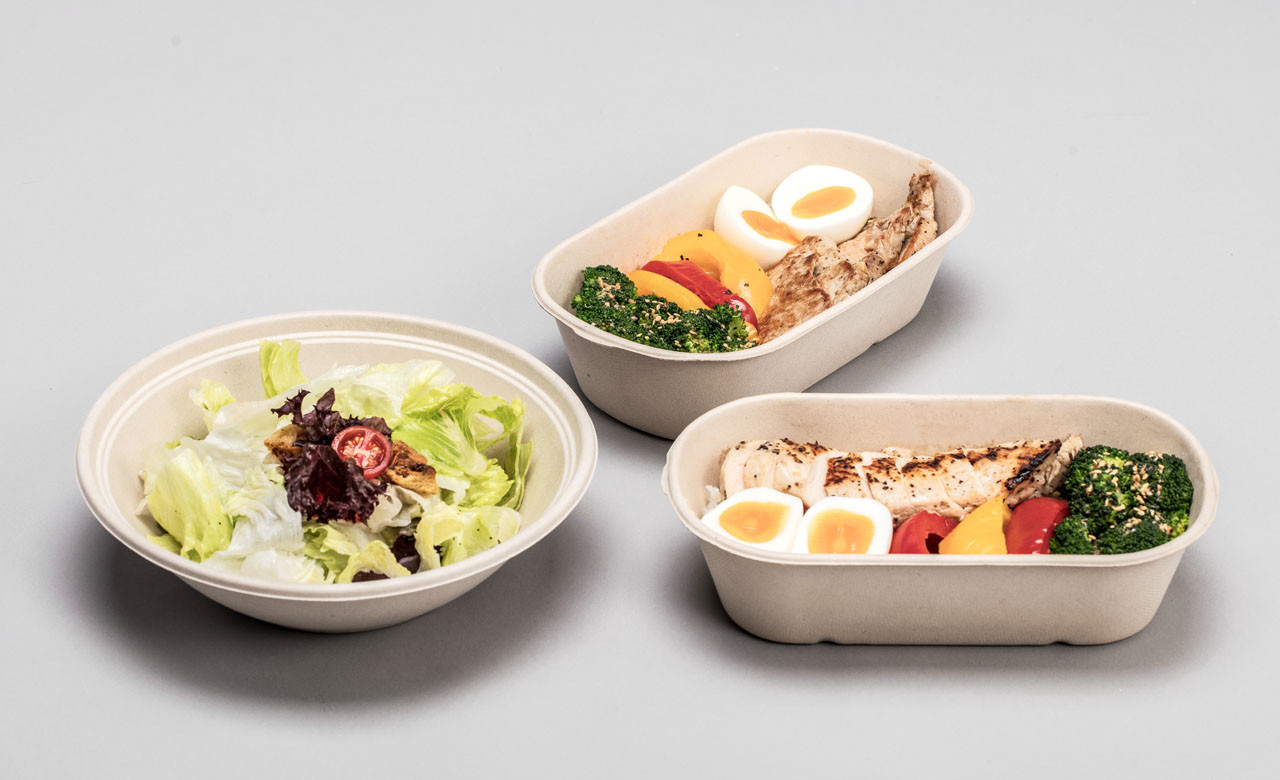 Replace PP PE Pulp Fiber Salad Bowl Pizza Tray Making Machine