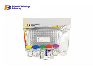 Quality 96 Wells High Sensitivity Human Corticotropin Releasing Hormone ELISA Kit wholesale