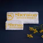Embroidered Hotel Bath Towels , Hotel Style Towels European American Style