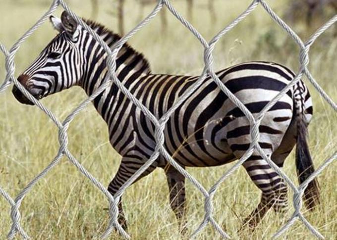 AISI316 Woven Type Wire Rope Stainless Steel Zoo Mesh / Animal Enclosure Fencing 3