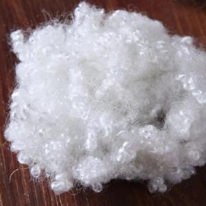 Quality Coiled Coil Hollow Conjugated Polyester Staple Fiber Recycled 51mm wholesale