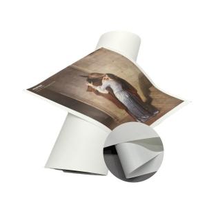 Quality Eco-solvent 320gsm Inkjet Matte Polyester Canvas For Photo Printing wholesale