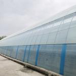 Multi-Span Agricultural Greenhouses Advanced Hydroponic Growing System for